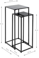 HAKU Möbel Pflanzenständer-Set Metall schwarz,...