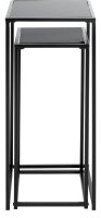HAKU Möbel Pflanzenständer-Set Metall schwarz, 1 Set