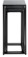 HAKU Möbel Pflanzenständer-Set Metall schwarz, 1 Set