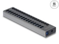 DeLOCK USB-Hub 16-fach grau