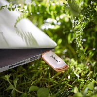 Intenso USB-Stick Green Line beige 32 GB, 1 St.