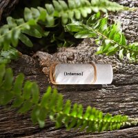 Intenso USB-Stick Green Line beige 128 GB, 1 St.