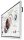 SAMSUNG Flip Pro WM85B digitales Whiteboard, weiß, 214,6 cm (85,0 Zoll)