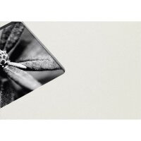 hama Fotoalbum Fine Art neutral 30,0 x 30,0 cm, 100 schwarze Seiten