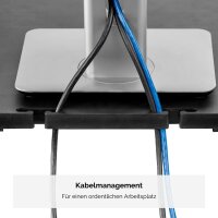 Fellowes Monitorständer Standard graphit