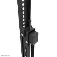 Neomounts TV-Wandhalterung WL30S-950BL19 schwarz
