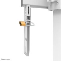 Neomounts TV-Wandhalterung WL55-875WH1 weiß