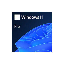 MICROSOFT ESD Windows 11 Pro 64 Bit All Languages