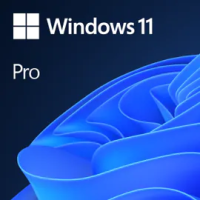 MICROSOFT ESD Windows 11 Pro 64 Bit All Languages