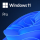 MICROSOFT ESD Windows 11 Pro 64 Bit All Languages