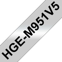 HG-Multipack HGEM951V5 / 5x Packung