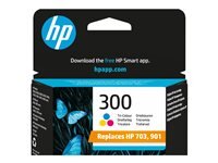 HP 300 Farbe (Cyan, Magenta, Gelb) Tintenpatrone