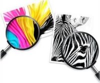 HP 963XL High Yield Black Ink