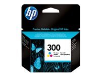 HP 300 Farbe (Cyan, Magenta, Gelb) Tintenpatrone