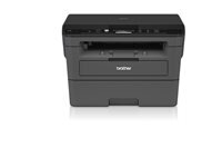 BROTHER DCP-L2530DW