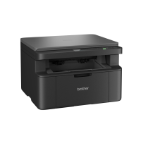 BROTHER DCP-L1640W