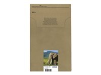 EPSON 24 Multipack Easy Mail Packaging 6er Pack Schwarz, Gelb, Cyan, Magenta, hell Magenta, hell