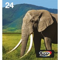 EPSON 24 Multipack Easy Mail Packaging 6er Pack Schwarz,...