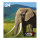 EPSON 24 Multipack Easy Mail Packaging 6er Pack Schwarz, Gelb, Cyan, Magenta, hell Magenta, hell