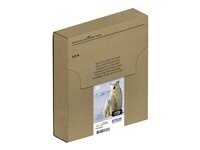EPSON 26 Multipack Easy Mail Packaging 4er Pack Schwarz,...