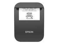 EPSON TM-P20II