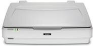 EPSON Expression 13000XL