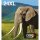 EPSON 24XL Multipack Easy Mail Packaging 6er Pack XL Schwarz, Gelb, Cyan, Magenta, hell Magenta,