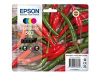 EPSON 503 Binoculars CMYK SEC
