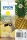 EPSON 604 Singlepack - 2.4 ml - Gelb