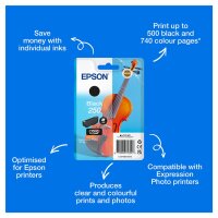 EPSON Singlepack Black 250 ink