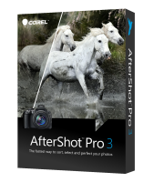 COREL ESD AfterShot Pro 3 (ML)