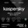 KASPERSKY LAB KASPERSKY ESD Small Office Security 10+1 1 Year