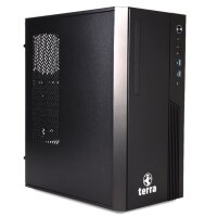 TERRA PC BUSINESS 6000 Ryzen 5 PRO 8500G 16GB 500GB W11P