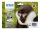 EPSON T0895 Multipack 4er Pack Schwarz, Gelb, Cyan, Magenta Tintenpatrone