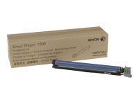 XEROX Phaser 7800 Druckerbildeinheit