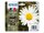 EPSON 18 Multipack 4er Pack Schwarz, Gelb, Cyan, Magenta Tintenpatrone