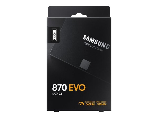 SAMSUNG 870 EVO Basic 250GB