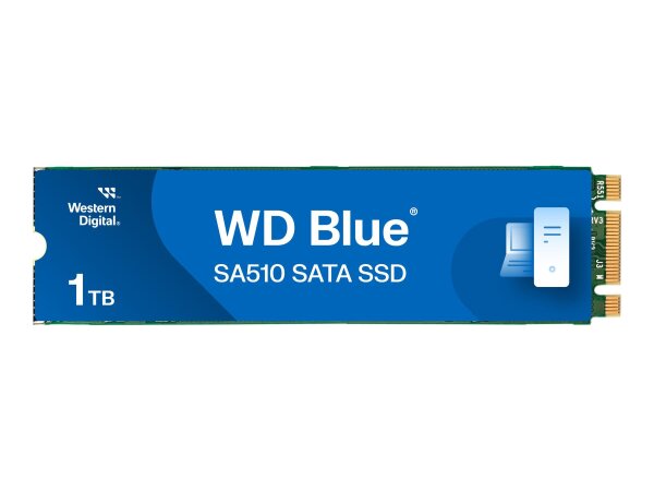 WESTERN DIGITAL WD Blue SA510 1TB  ( WDS100T3B0B )