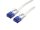 VALUE 21992060 RJ45 Netzwerkkabel, Patchkabel CAT 6a U/UTP 0.50 m Weiß 1 St.