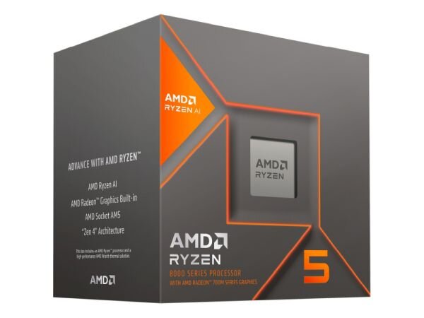 AMD Ryzen 5 8600G SAM5 Box