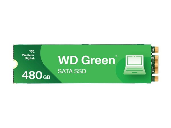 WESTERN DIGITAL Green 480GB  ( WDS480G3G0B-00BJF0 )