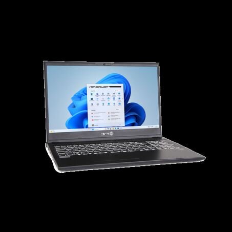TERRA MOBILE 1516R 39,6cm (15,6") i5-1334U 16GB 500GB W11  ( 1220843 )