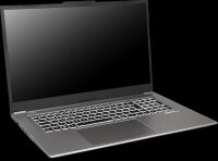 EXONE go Business 1760 X13 43,9cm (17,3") i5-1335U...