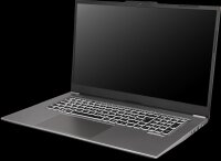 EXONE go Business 1760 X13 43,9cm (17,3") i5-1335U...