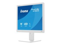 IIYAMA B1980S-W1 48,26cm (19")  ( B1980S-W1 )