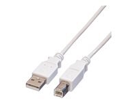VALUE USBKabel USB2.0 A/B m/m 180cm beige
