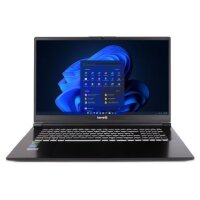 TERRA MOBILE GAMER ELITE 5v4 43,9cm (17,3") Ultra 9...