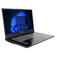 TERRA MOBILE GAMER ELITE 5v4 43,9cm (17,3") Ultra 9 275HX 32GB 2TB W11P  ( 1220870 )