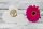 AVERY Zweckform Aufkleber 56817 Lebensblume, gold, 50 Etiketten