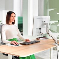 LEITZ Monitor-Halterung Ergo 64890085 lichtgrau für 1 Monitor, Tischklemme
